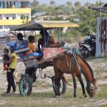 dev-dokar-kereta-kuda-khas-palu